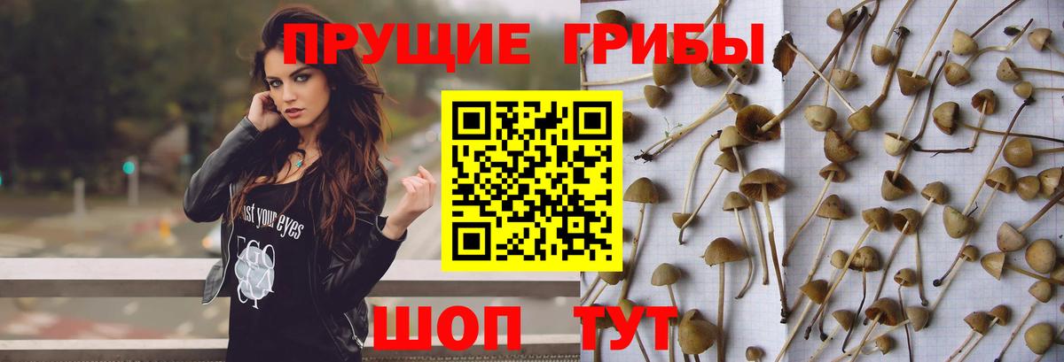 Наро-Фоминск  Галлюциногенные грибы Magic Shrooms  Галлюциногенные грибы прущие грибы  Вход с VPN 